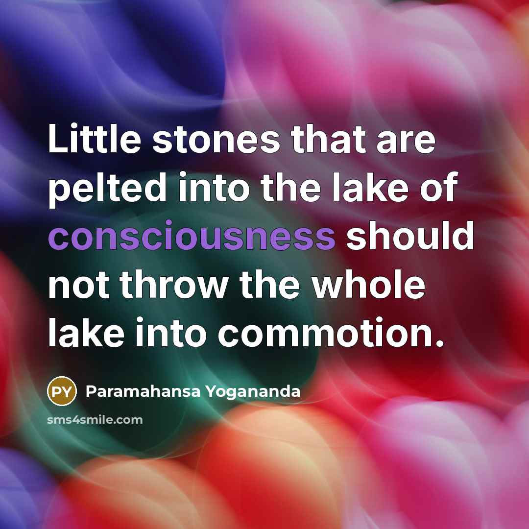 “Little stones that are pelted into the lake of consciousness should not throw the whole lake into commotion.” quote by Paramahansa Yogananda