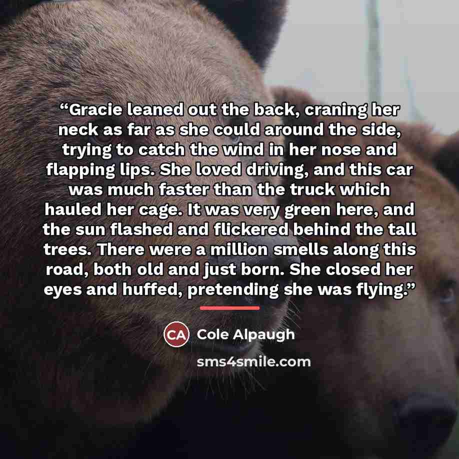 “Gracie leaned out the back, craning her neck as far as she could around the side, trying to catch the wind in her nose and flapping lips. She loved driving, and this car was much faster than the truck which hauled her cage. It was very green here, and the sun flashed and flickered behind the tall…” quote by Cole Alpaugh