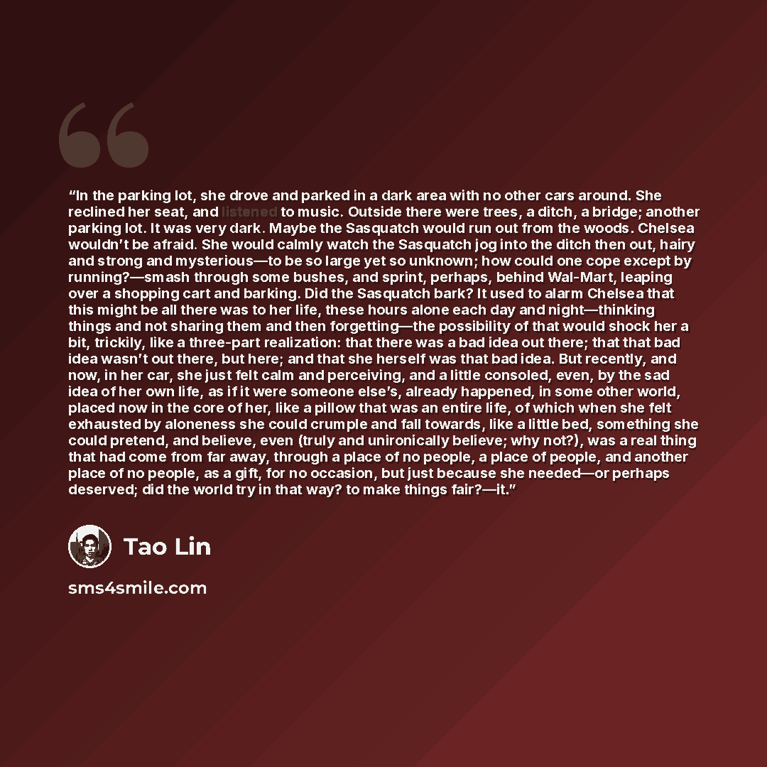 “In the parking lot, she drove and parked in a dark area with no other cars around. She reclined her seat, and listened to music. Outside there were trees, a ditch, a bridge; another parking lot. It was very dark. Maybe the Sasquatch would run out from the woods. Chelsea wouldn’t be afraid. She…” quote by Tao Lin