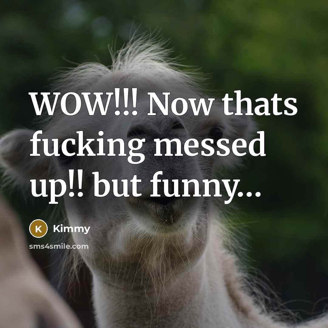 “WOW!!! Now thats fucking messed up!! but funny…” quote by Kimmy