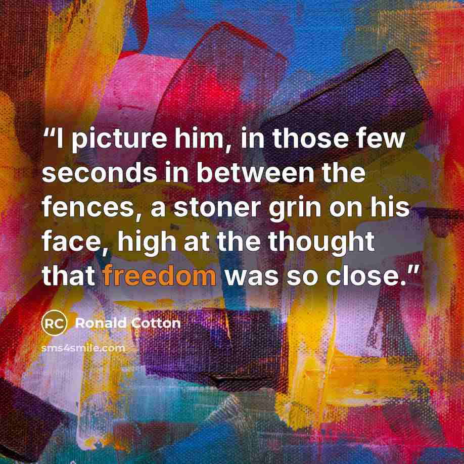 “I picture him, in those few seconds in between the fences, a stoner grin on his face, high at the thought that freedom was so close.” quote by Ronald Cotton