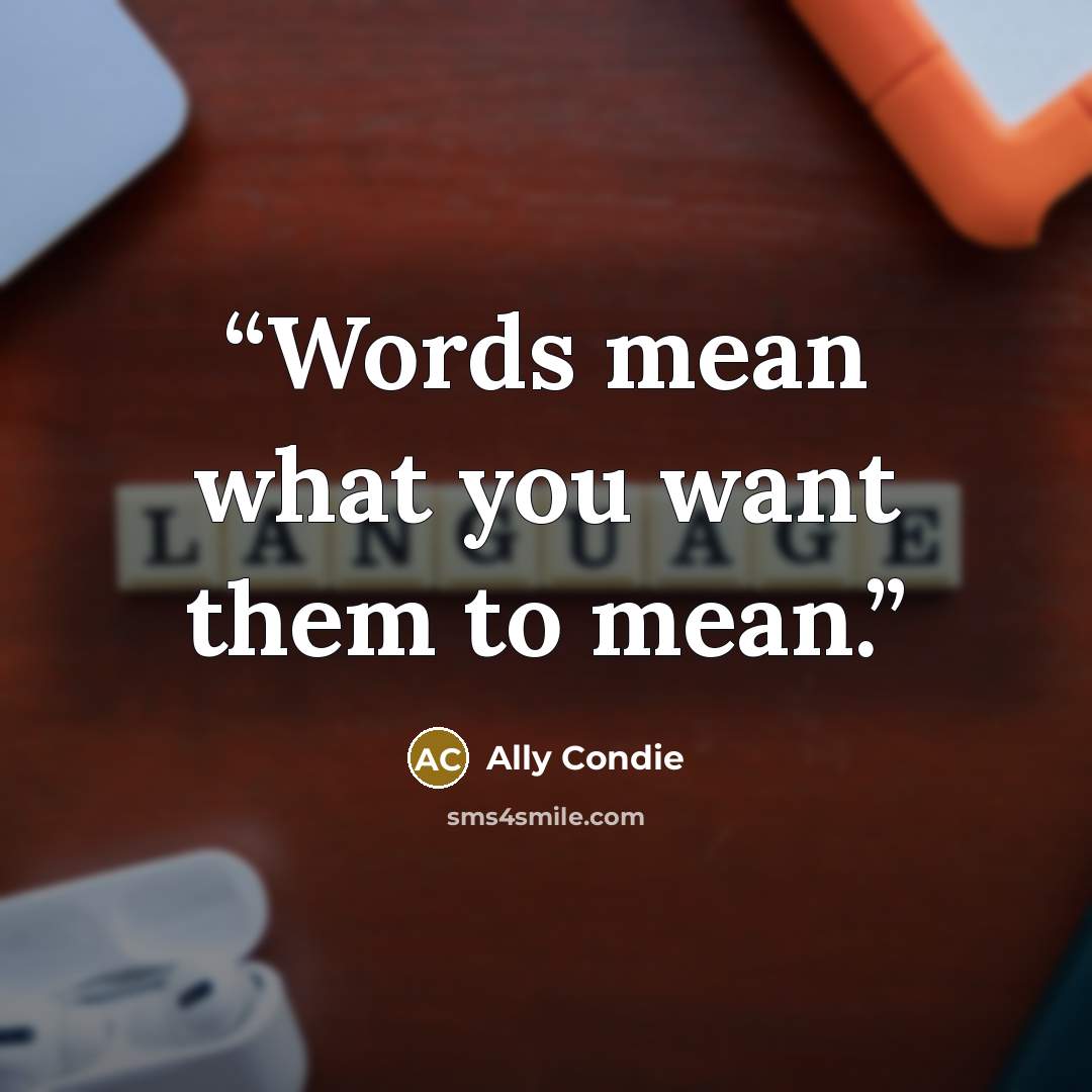 “Words mean what you want them to mean.” quote by Ally Condie