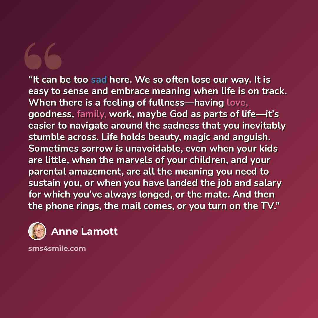 “It can be too sad here. We so often lose our way. It is easy to sense and embrace meaning when life is on track. When there is a feeling of fullness—having love, goodness, family, work, maybe God as parts of life—it’s easier to navigate around the sadness that you inevitably stumble across. Life…” quote by Anne Lamott