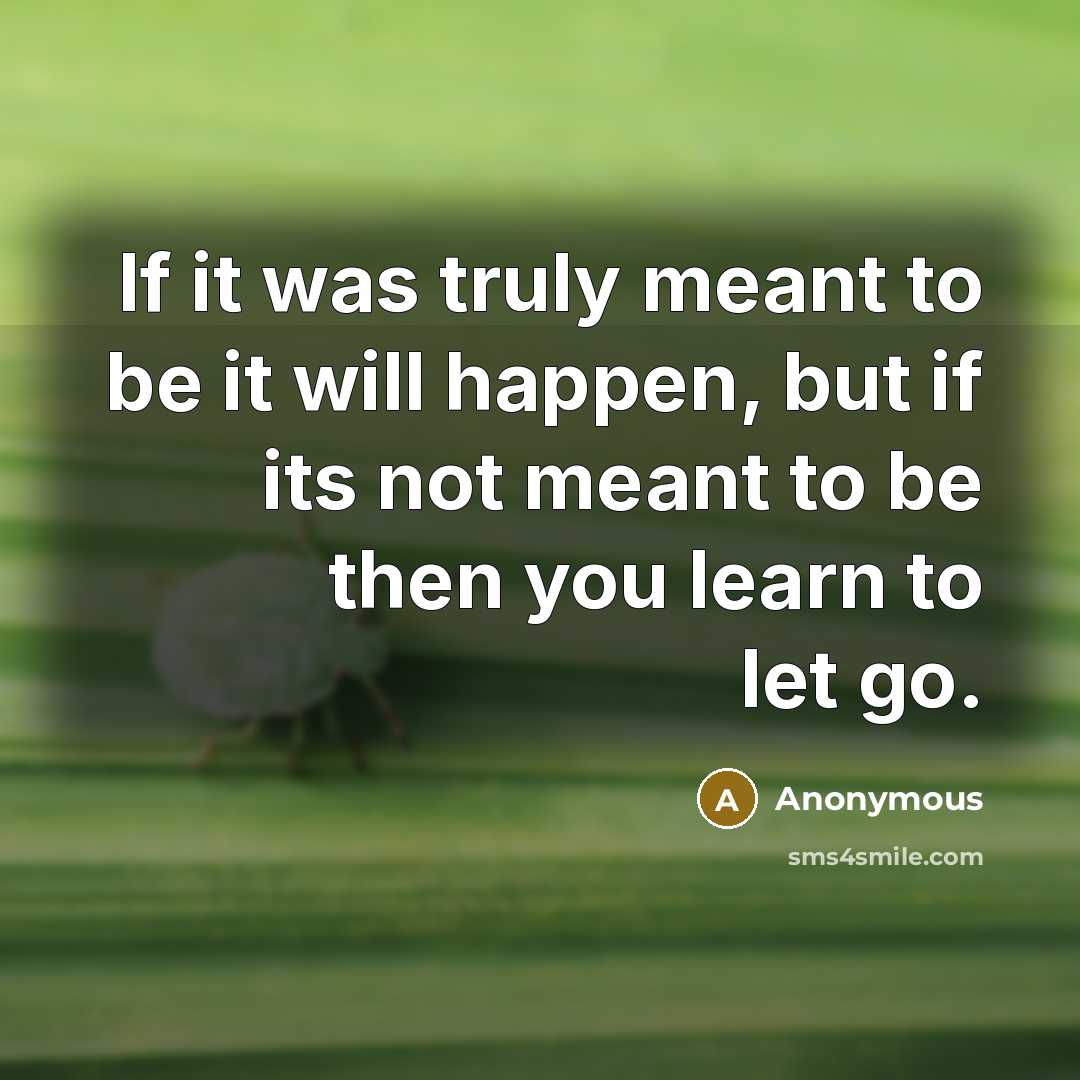 “If it was truly meant to be it will happen, but if its not meant to be then you learn to let go.” quote by Anonymous
