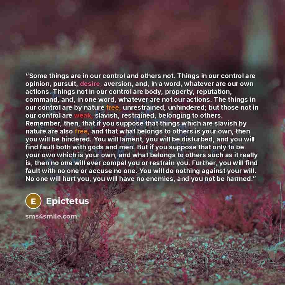 “Some things are in our control and others not. Things in our control are opinion, pursuit, desire, aversion, and, in a word, whatever are our own actions. Things not in our control are body, property, reputation, command, and, in one word, whatever are not our actions. The things in our control…” quote by Epictetus