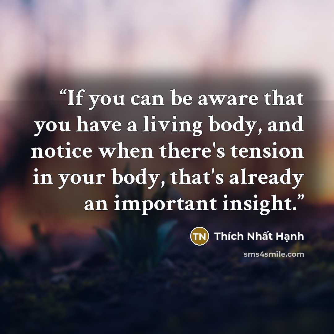 “If you can be aware that you have a living body, and notice when there's tension in your body, that's already an important insight.” quote by Thich Nhat Hanh