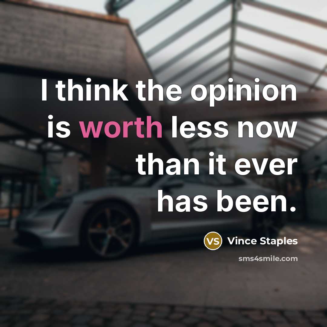 “I think the opinion is worth less now than it ever has been.” quote by Vince Staples