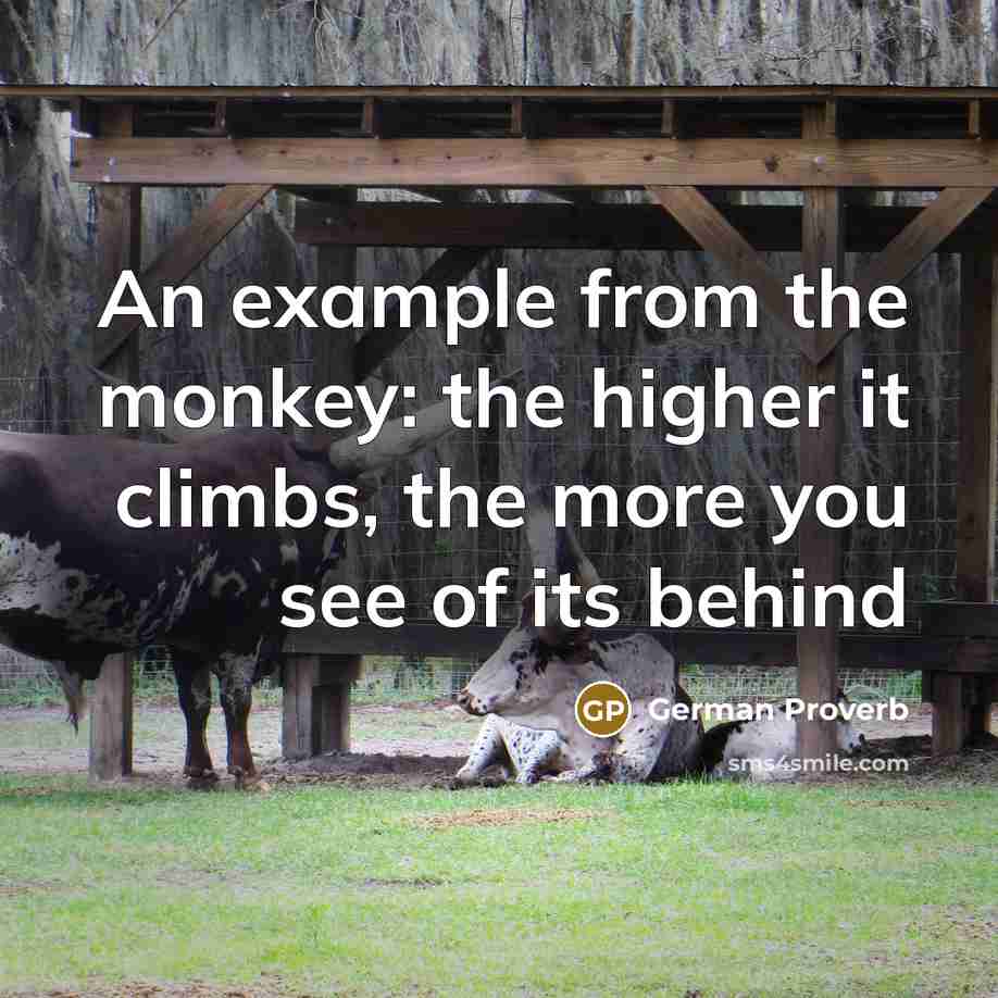 “An example from the monkey: the higher it climbs, the more you see of its behind” quote by German Proverb