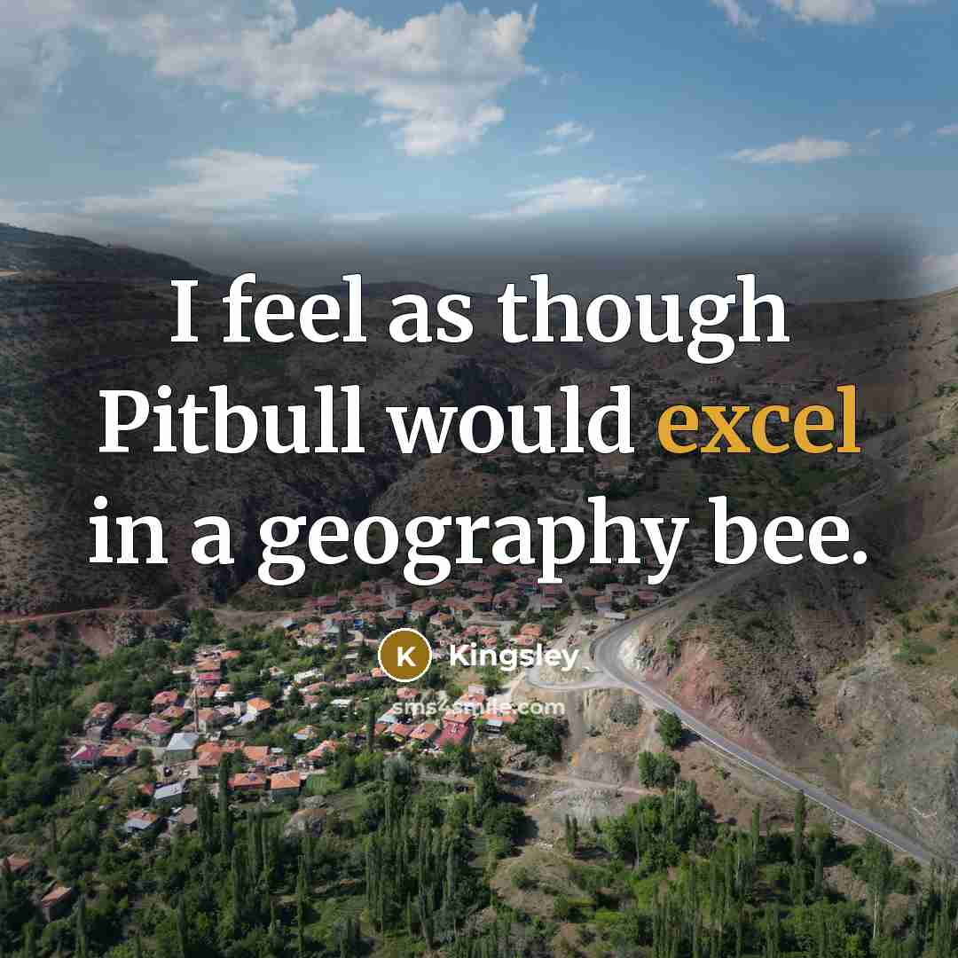 “I feel as though Pitbull would excel in a geography bee.” quote by Kingsley