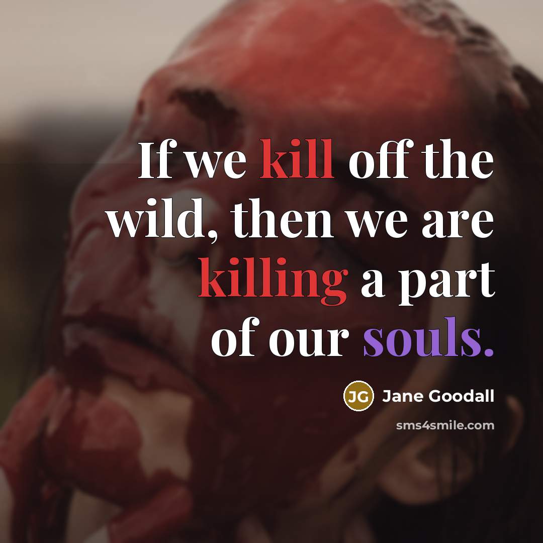 “If we kill off the wild, then we are killing a part of our souls.” quote by Jane Goodall