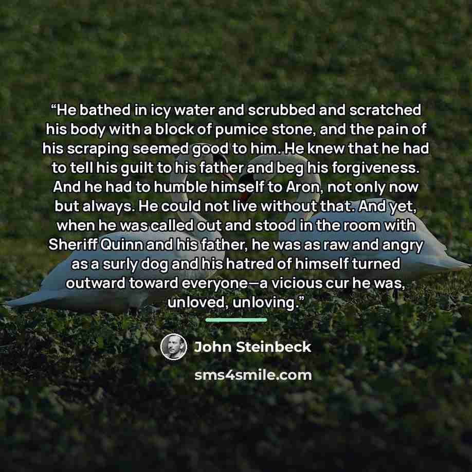 “He bathed in icy water and scrubbed and scratched his body with a block of pumice stone, and the pain of his scraping seemed good to him. He knew that he had to tell his guilt to his father and beg his forgiveness. And he had to humble himself to Aron, not only now but always. He could not live…” quote by John Steinbeck
