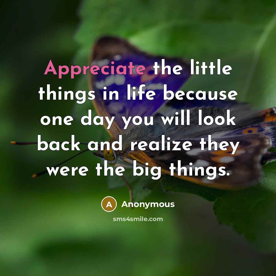 “Appreciate the little things in life because one day you will look back and realize they were the big things.” quote by Anonymous