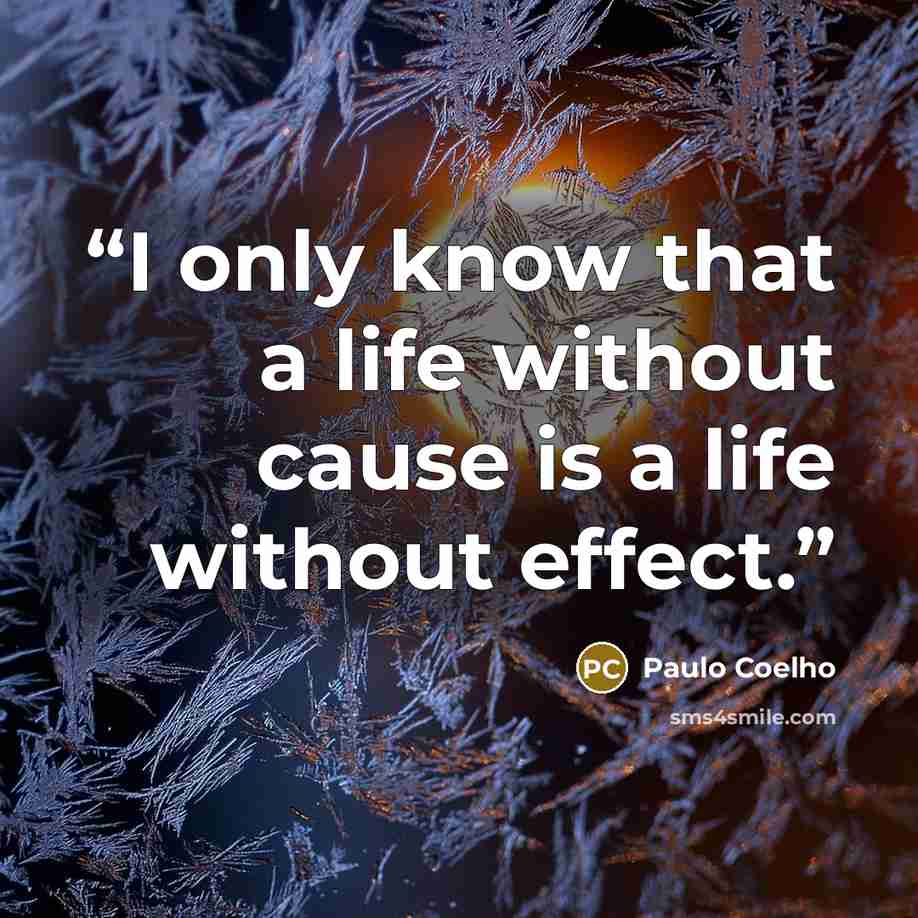 “I only know that a life without cause is a life without effect.” quote by Paulo Coelho