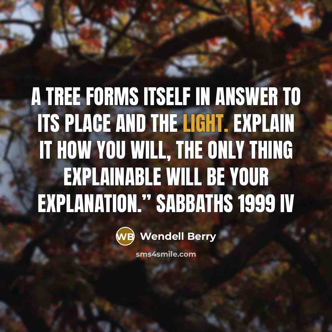 “A tree forms itself in answer to its place and the light. Explain it how you will, the only thing explainable will be your explanation.” Sabbaths 1999 IV” quote by Wendell Berry