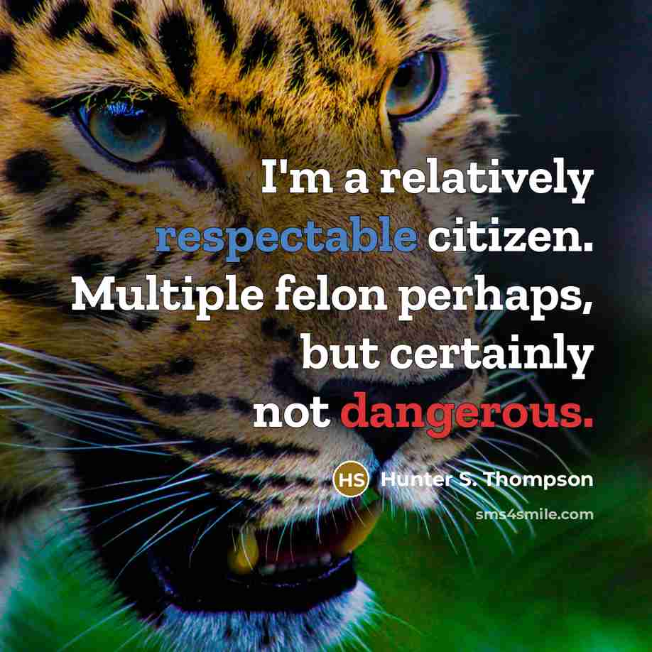 “I'm a relatively respectable citizen. Multiple felon perhaps, but certainly not dangerous.” quote by Hunter S. Thompson