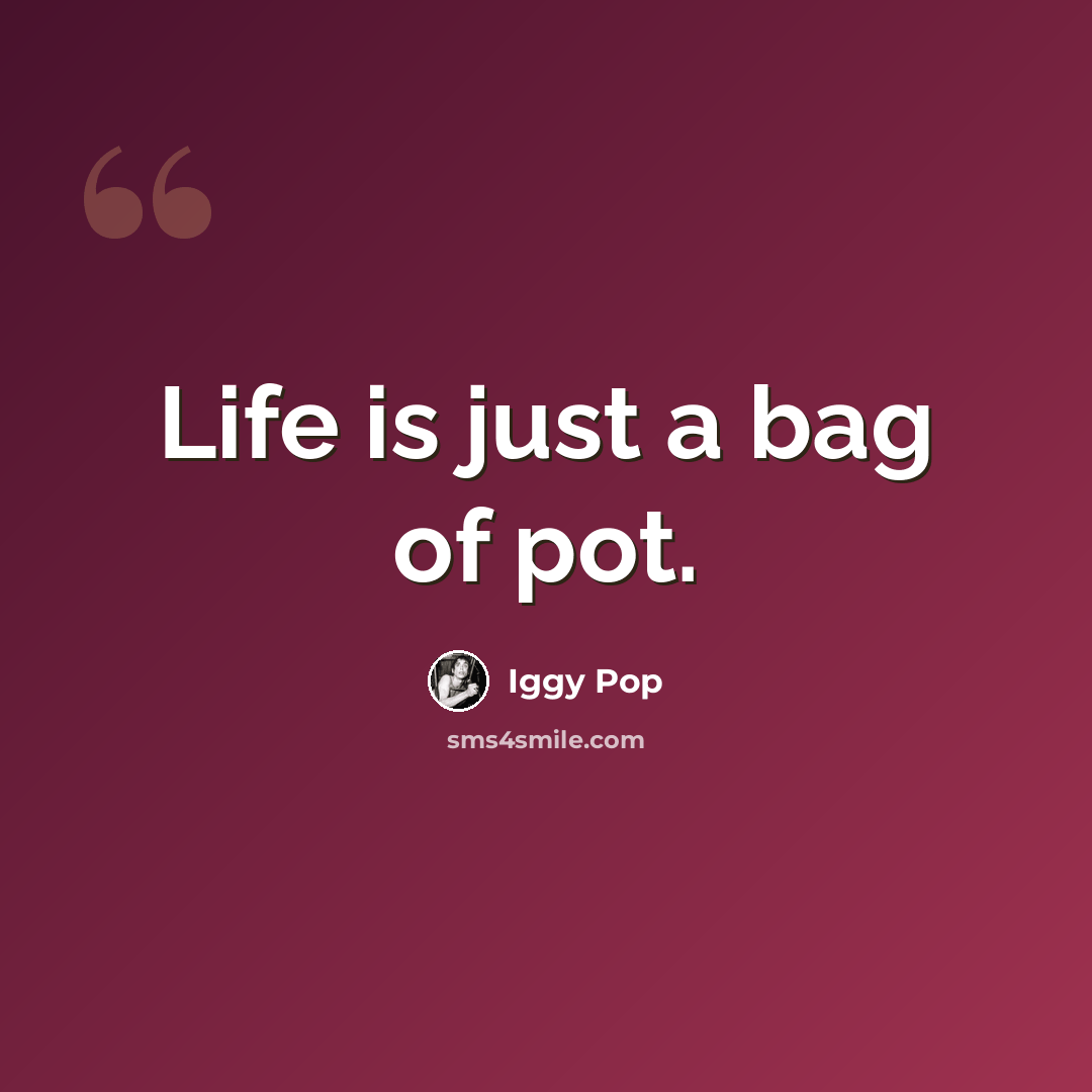 “Life is just a bag of pot.” quote by Iggy Pop