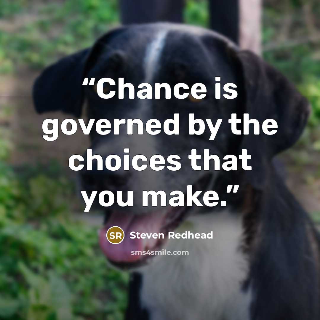 “Chance is governed by the choices that you make.” quote by Steven Redhead
