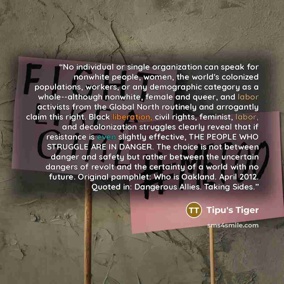 “No individual or single organization can speak for nonwhite people, women, the world's colonized populations, workers, or any demographic category as a whole--although nonwhite, female and queer, and labor activists from the Global North routinely and arrogantly claim this right. Black liberation…” quote by Tipu's Tiger