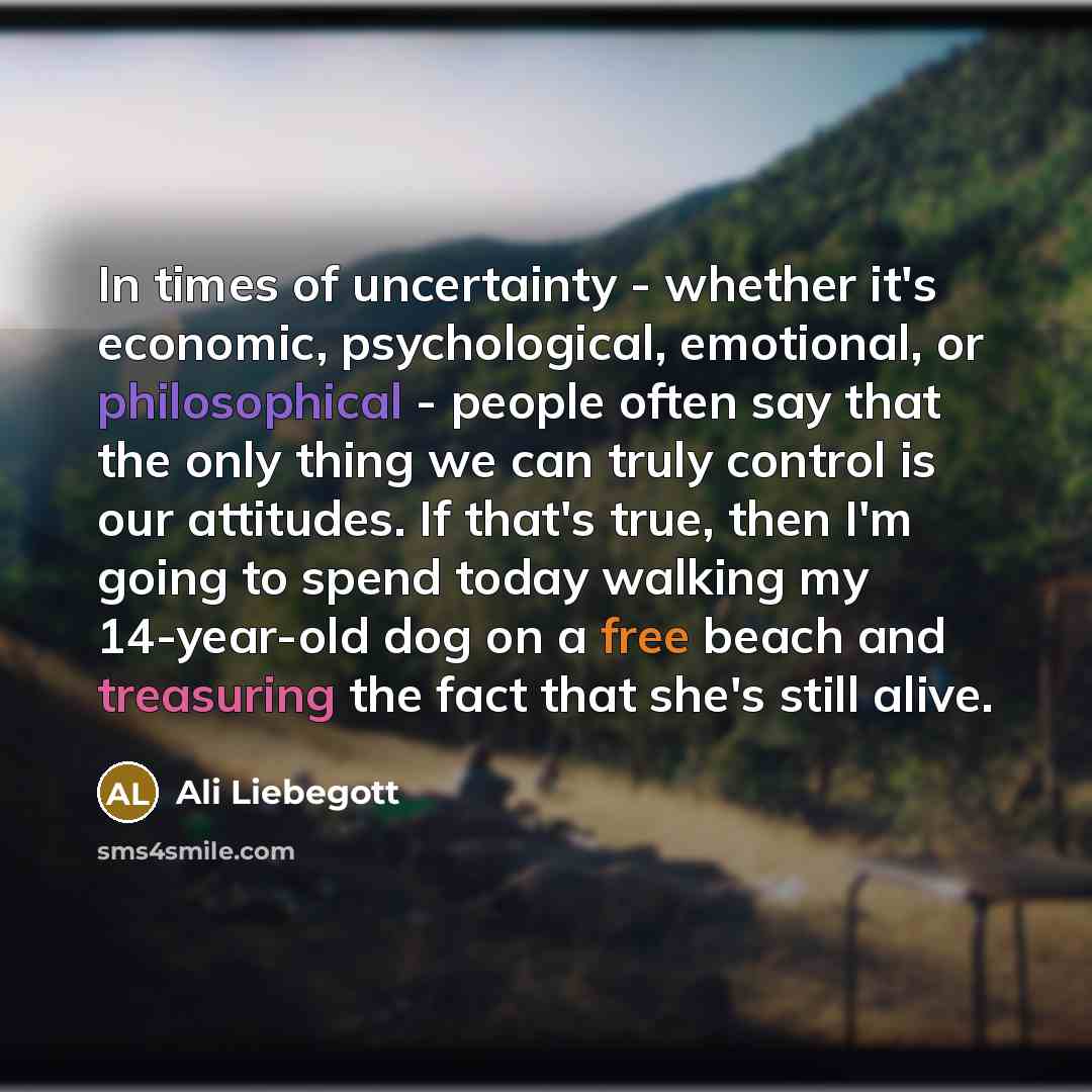“In times of uncertainty - whether it's economic, psychological, emotional, or philosophical - people often say that the only thing we can truly control is our attitudes. If that's true, then I'm going to spend today walking my 14-year-old dog on a free beach and treasuring the fact that she's…” quote by Ali Liebegott