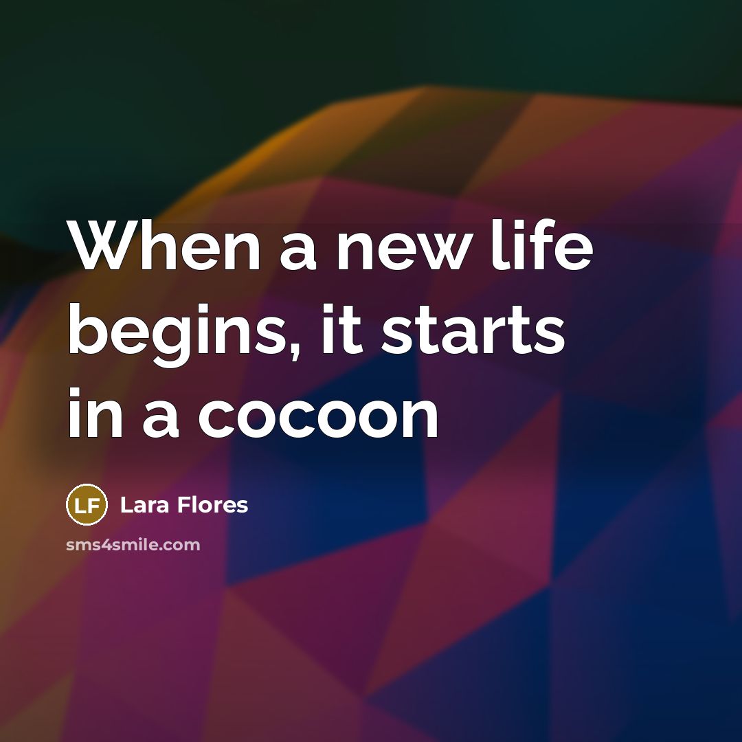 “When a new life begins, it starts in a cocoon” quote by Lara Flores