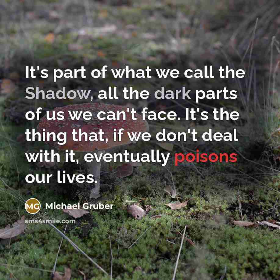 “It's part of what we call the Shadow, all the dark parts of us we can't face. It's the thing that, if we don't deal with it, eventually poisons our lives.” quote by Michael Gruber