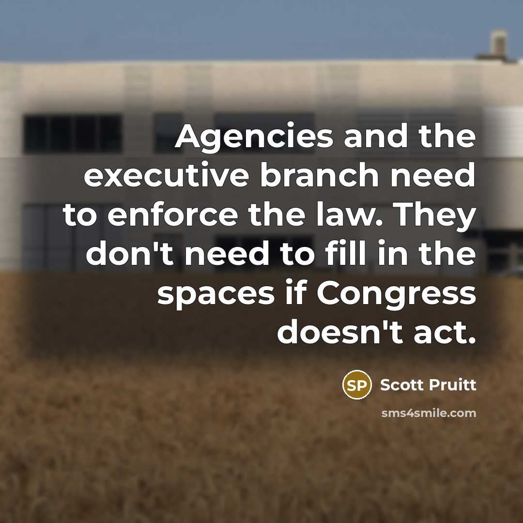 “Agencies and the executive branch need to enforce the law. They don't need to fill in the spaces if Congress doesn't act.” quote by Scott Pruitt