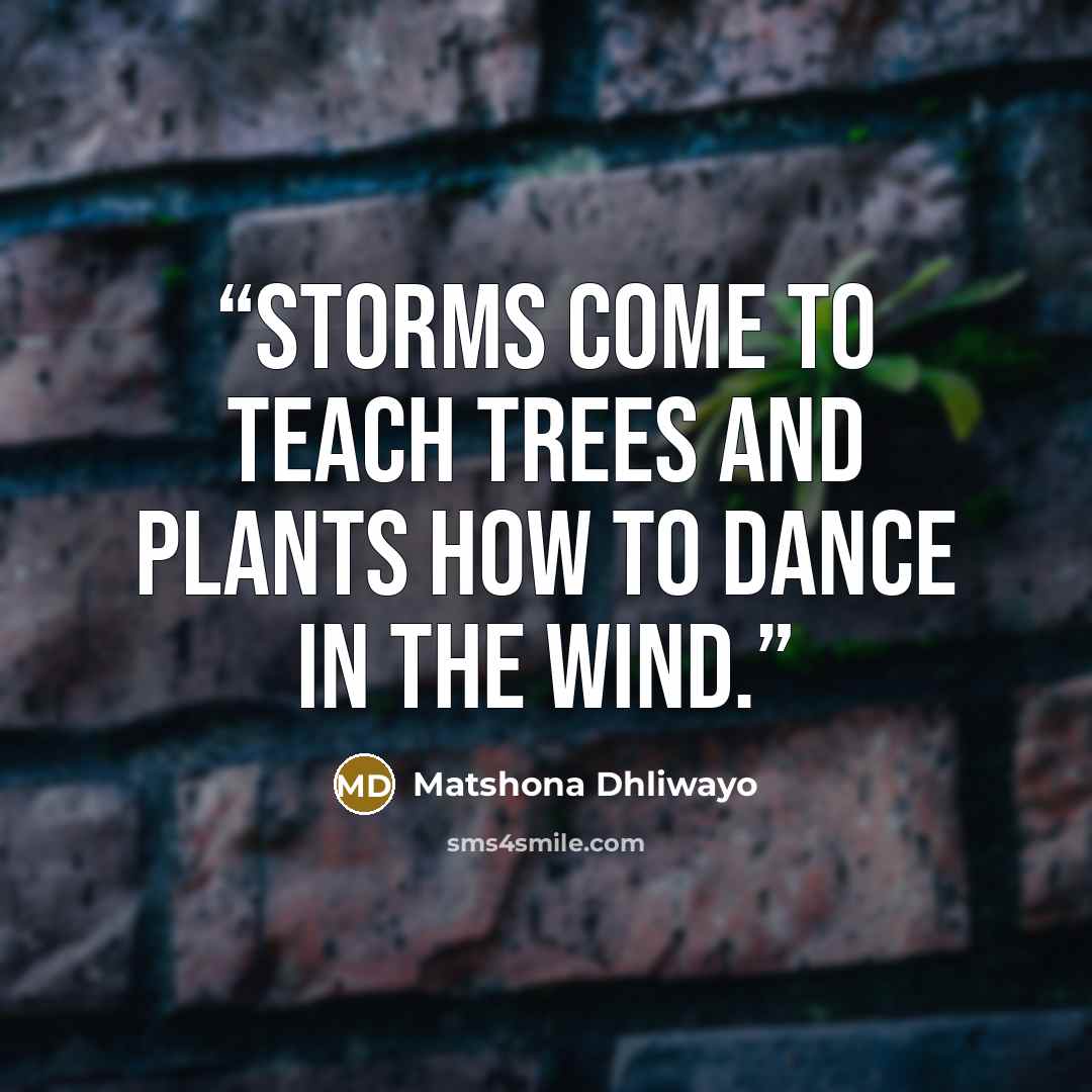 “Storms come to teach trees and plants how to dance in the wind.” quote by Matshona Dhliwayo
