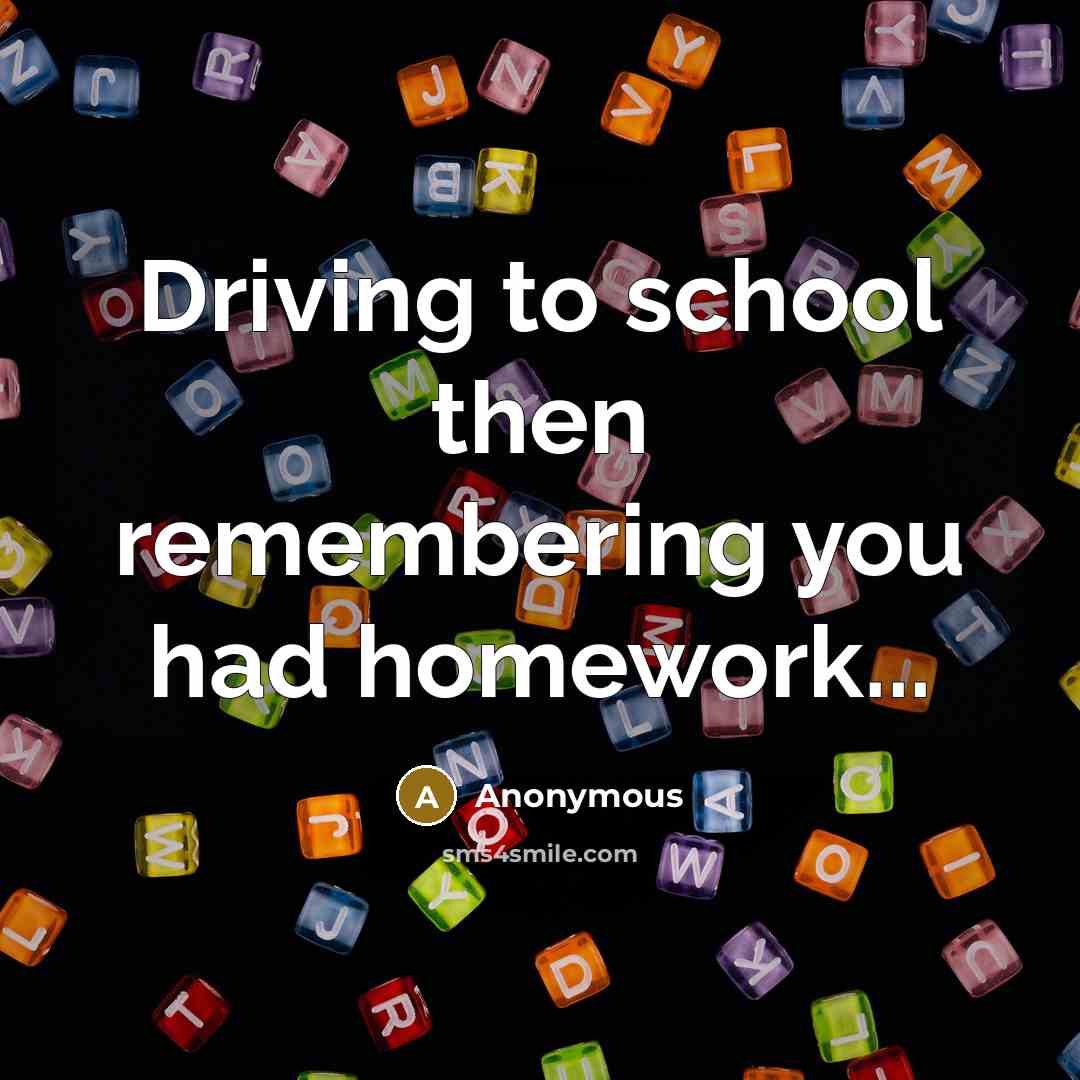 “Driving to school then remembering you had homework...” quote by Anonymous