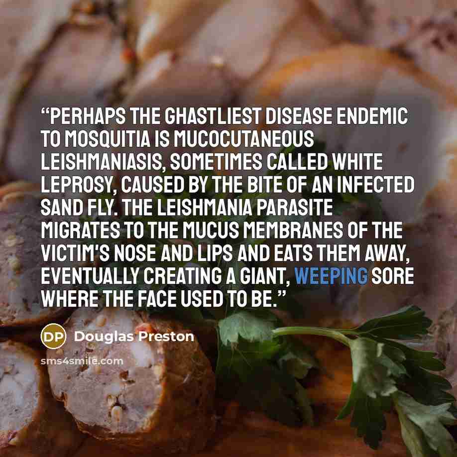 “Perhaps the ghastliest disease endemic to mosquitia is Mucocutaneous Leishmaniasis, sometimes called white leprosy, caused by the bite of an infected sand fly. The Leishmania parasite migrates to the mucus membranes of the victim's nose and lips and eats them away, eventually creating a giant…” quote by Douglas Preston