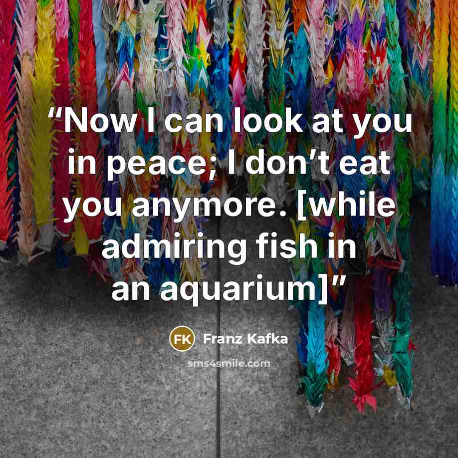 “Now I can look at you in peace; I don’t eat you anymore. [while admiring fish in an aquarium]” quote by Franz Kafka