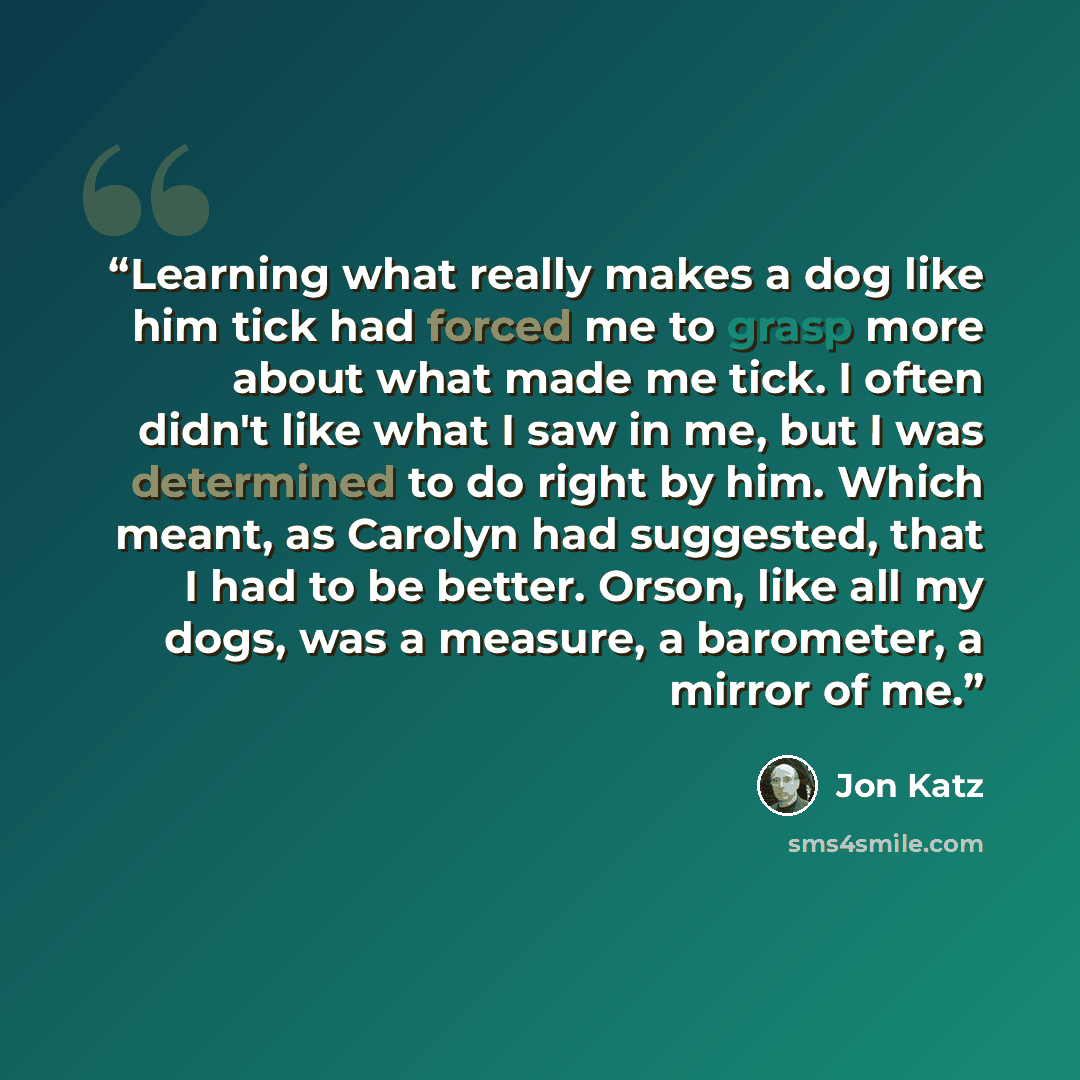 “Learning what really makes a dog like him tick had forced me to grasp more about what made me tick. I often didn't like what I saw in me, but I was determined to do right by him. Which meant, as Carolyn had suggested, that I had to be better. Orson, like all my dogs, was a measure, a barometer, a…” quote by Jon Katz