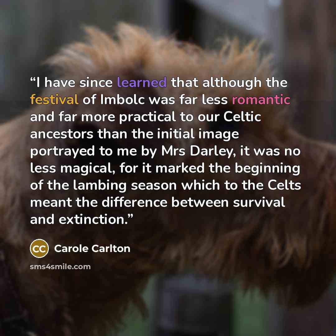 “I have since learned that although the festival of Imbolc was far less romantic and far more practical to our Celtic ancestors than the initial image portrayed to me by Mrs Darley, it was no less magical, for it marked the beginning of the lambing season which to the Celts meant the difference…” quote by Carole Carlton