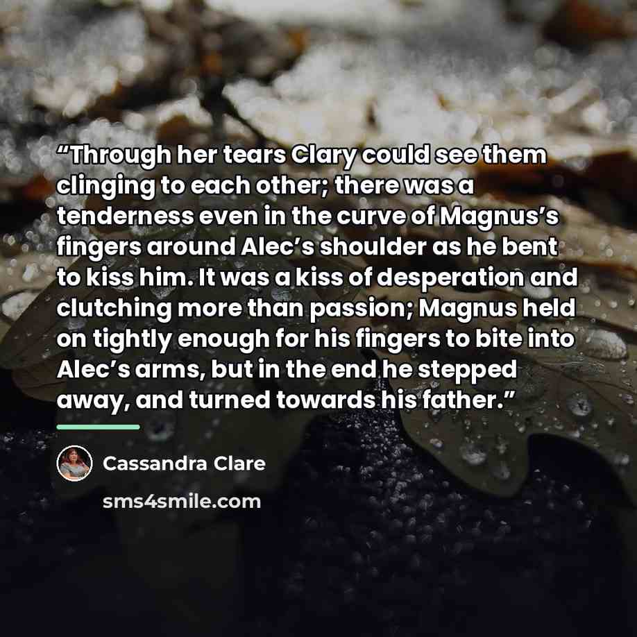 “Through her tears Clary could see them clinging to each other; there was a tenderness even in the curve of Magnus’s fingers around Alec’s shoulder as he bent to kiss him. It was a kiss of desperation and clutching more than passion; Magnus held on tightly enough for his fingers to bite into Alec’s…” quote by Cassandra Clare
