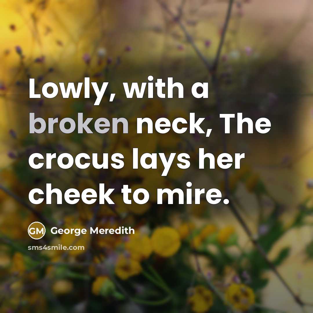 “Lowly, with a broken neck, The crocus lays her cheek to mire.” quote by George Meredith