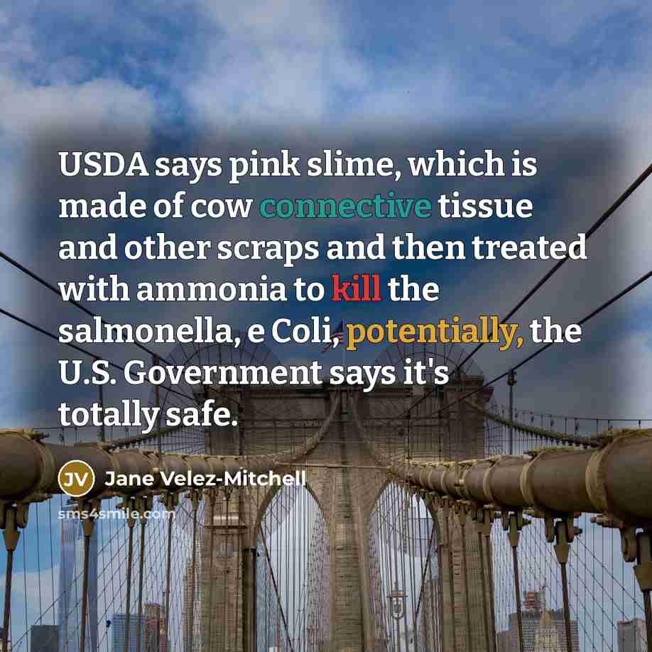“USDA says pink slime, which is made of cow connective tissue and other scraps and then treated with ammonia to kill the salmonella, e Coli, potentially, the U.S. Government says it's totally safe.” quote by Jane Velez-Mitchell
