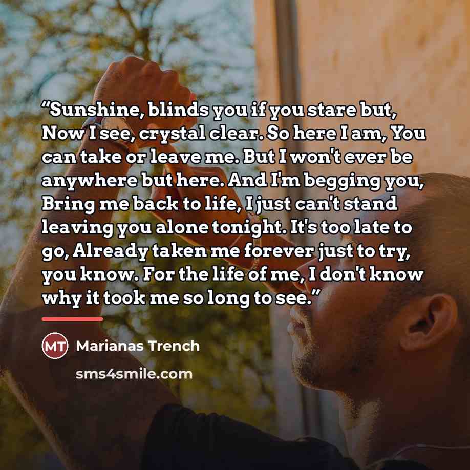 “Sunshine, blinds you if you stare but, Now I see, crystal clear. So here I am, You can take or leave me. But I won't ever be anywhere but here. And I'm begging you, Bring me back to life, I just can't stand leaving you alone tonight. It's too late to go, Already taken me forever just to try, you…” quote by Marianas Trench