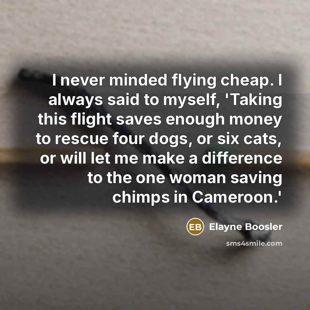 “I never minded flying cheap. I always said to myself, 'Taking this flight saves enough money to rescue four dogs, or six cats, or will let me make a difference to the one woman saving chimps in Cameroon.'” quote by Elayne Boosler