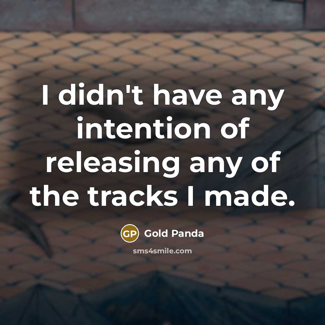 “I didn't have any intention of releasing any of the tracks I made.” quote by Gold Panda