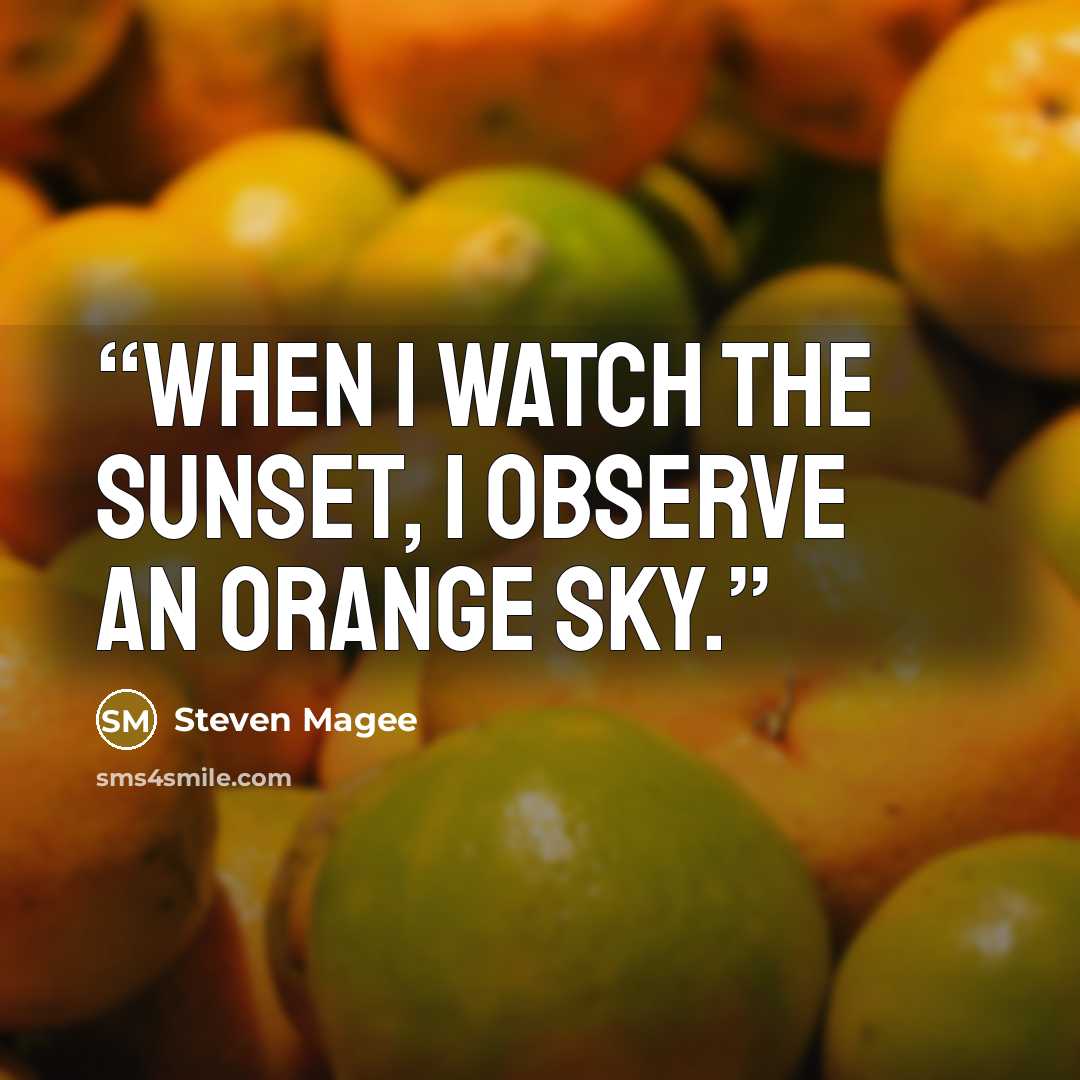 “When I watch the sunset, I observe an orange sky.” quote by Steven Magee