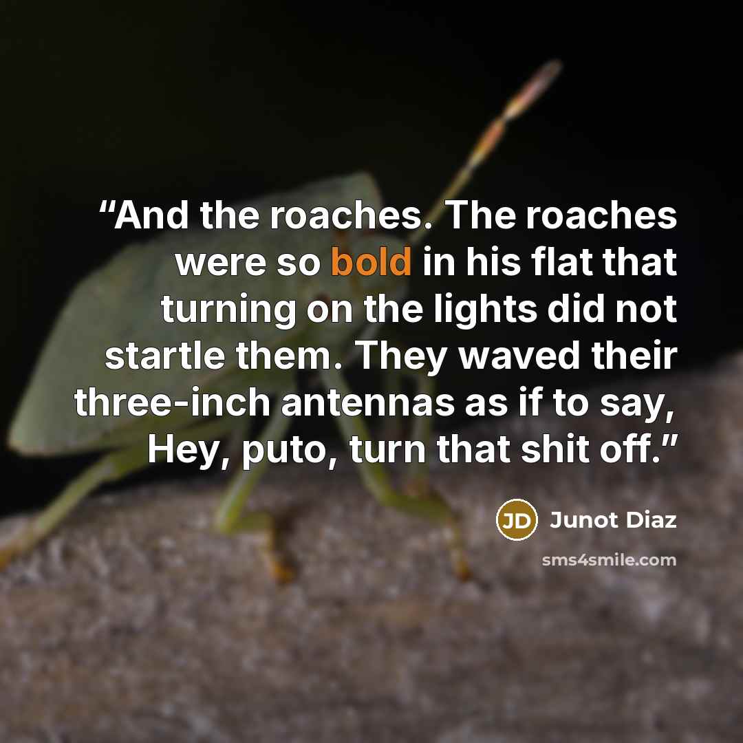 “And the roaches. The roaches were so bold in his flat that turning on the lights did not startle them. They waved their three-inch antennas as if to say, Hey, puto, turn that shit off.” quote by Junot Díaz