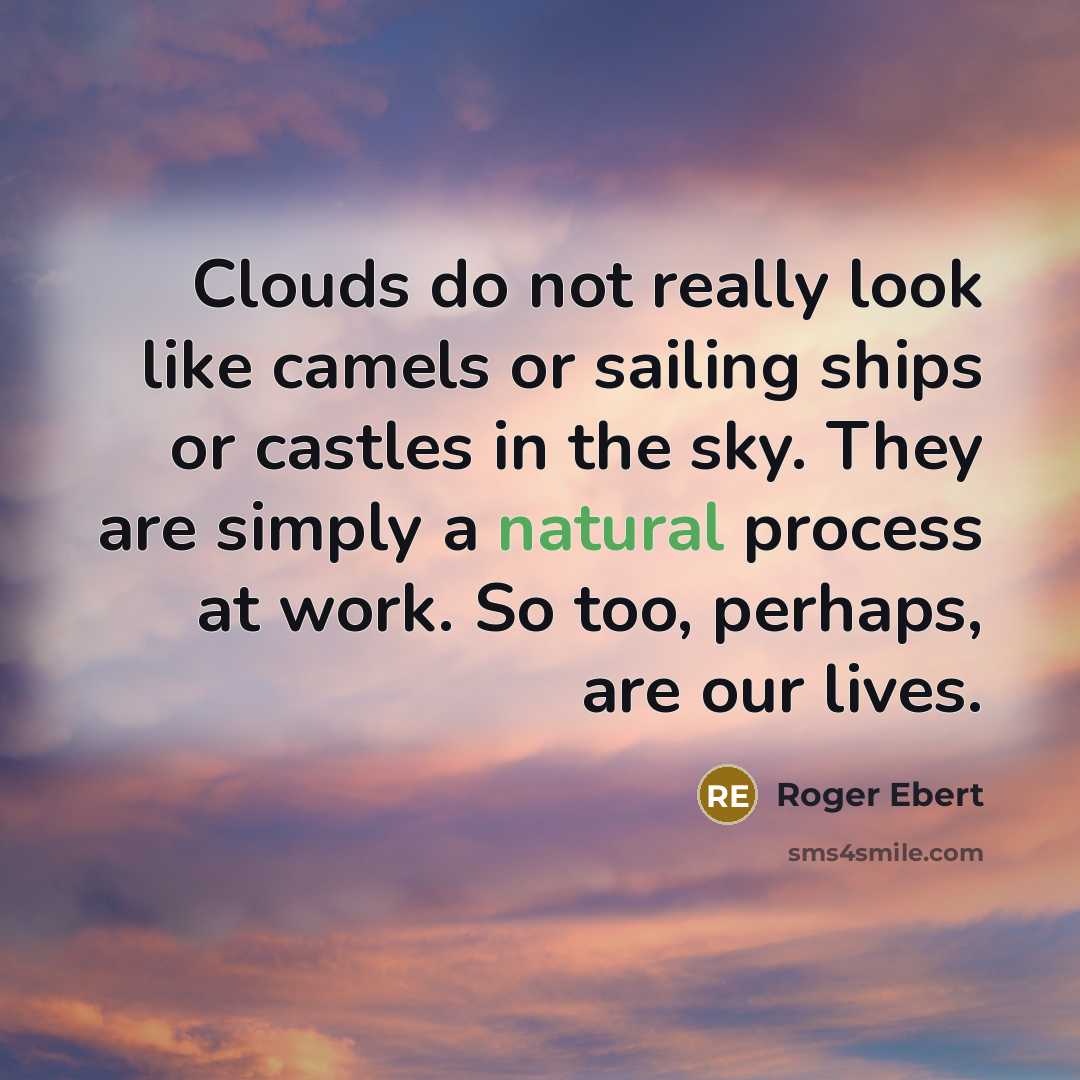 “Clouds do not really look like camels or sailing ships or castles in the sky. They are simply a natural process at work. So too, perhaps, are our lives.” quote by Roger Ebert