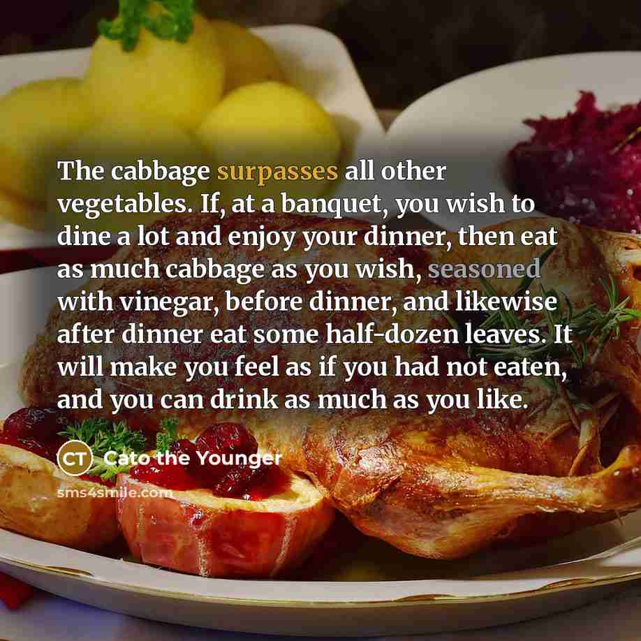 “The cabbage surpasses all other vegetables. If, at a banquet, you wish to dine a lot and enjoy your dinner, then eat as much cabbage as you wish, seasoned with vinegar, before dinner, and likewise after dinner eat some half-dozen leaves. It will make you feel as if you had not eaten, and you can…” quote by Cato the Younger