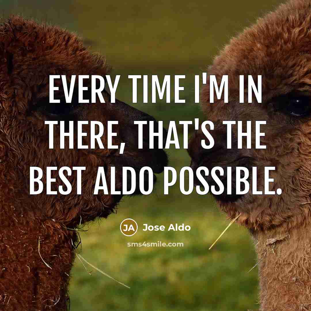 “Every time I'm in there, that's the best Aldo possible.” quote by Jose Aldo