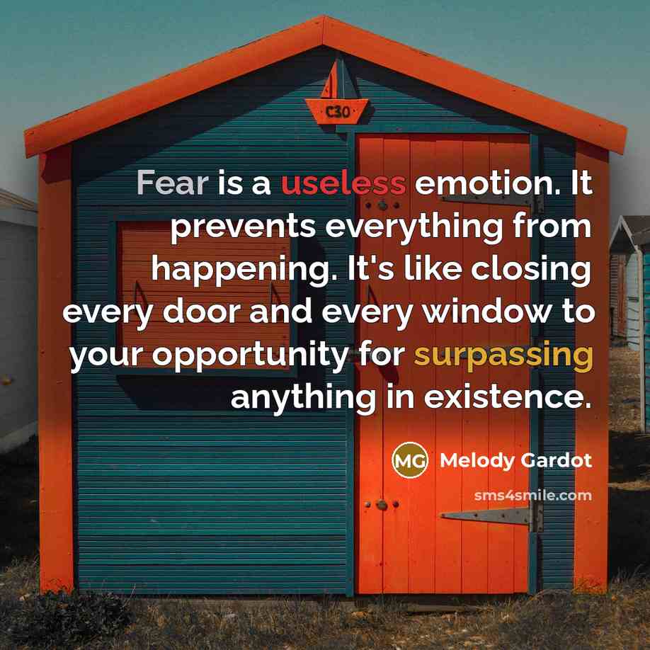 “Fear is a useless emotion. It prevents everything from happening. It's like closing every door and every window to your opportunity for surpassing anything in existence.” quote by Melody Gardot