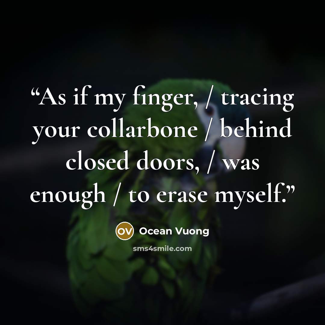 “As if my finger, / tracing your collarbone / behind closed doors, / was enough / to erase myself.” quote by Ocean Vuong