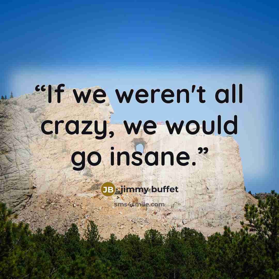 “If we weren't all crazy, we would go insane.” quote by jimmy buffet