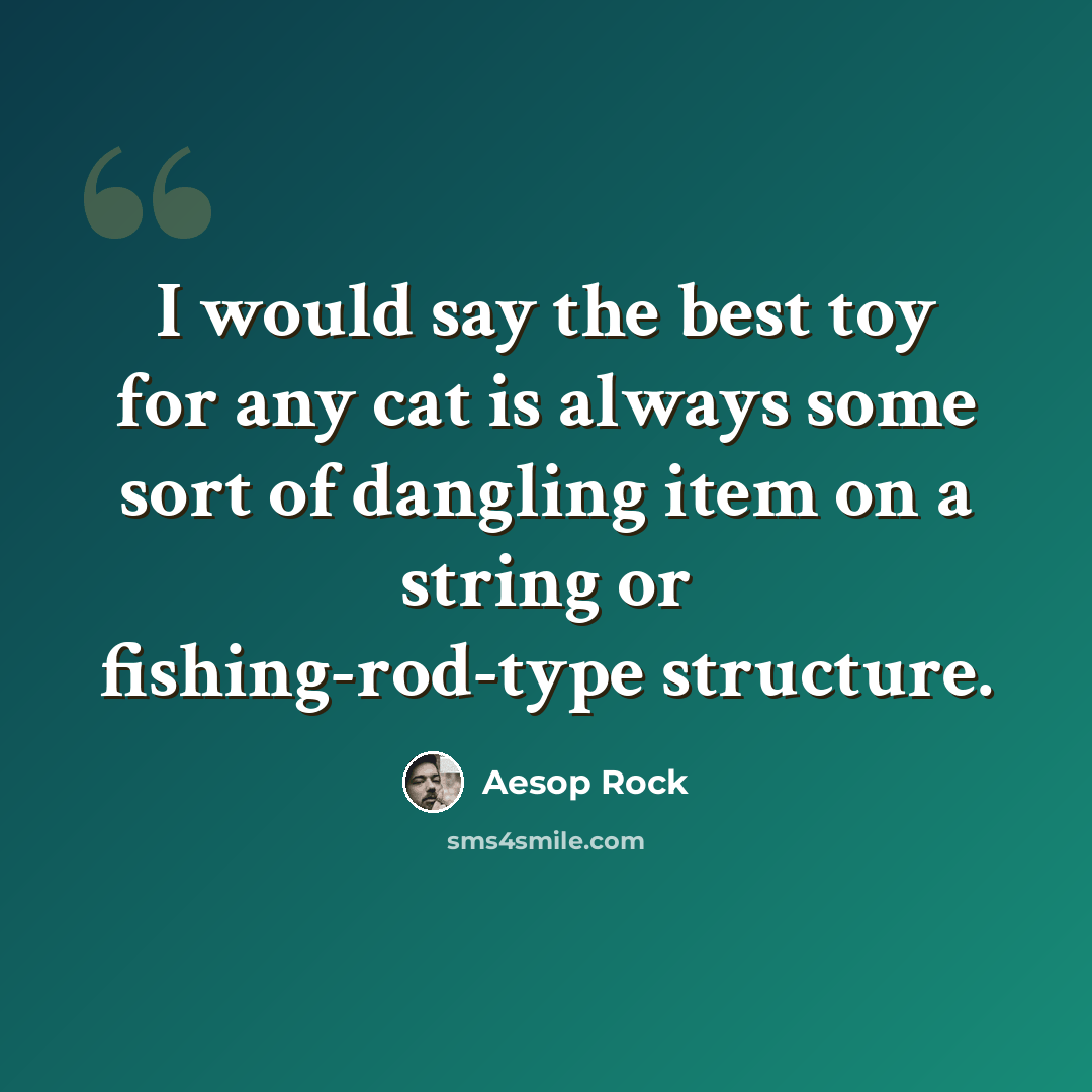 “I would say the best toy for any cat is always some sort of dangling item on a string or fishing-rod-type structure.” quote by Aesop Rock