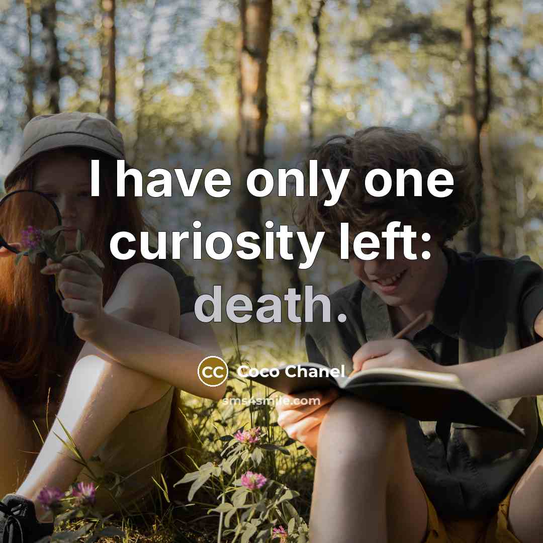 “I have only one curiosity left: death.” quote by Coco Chanel