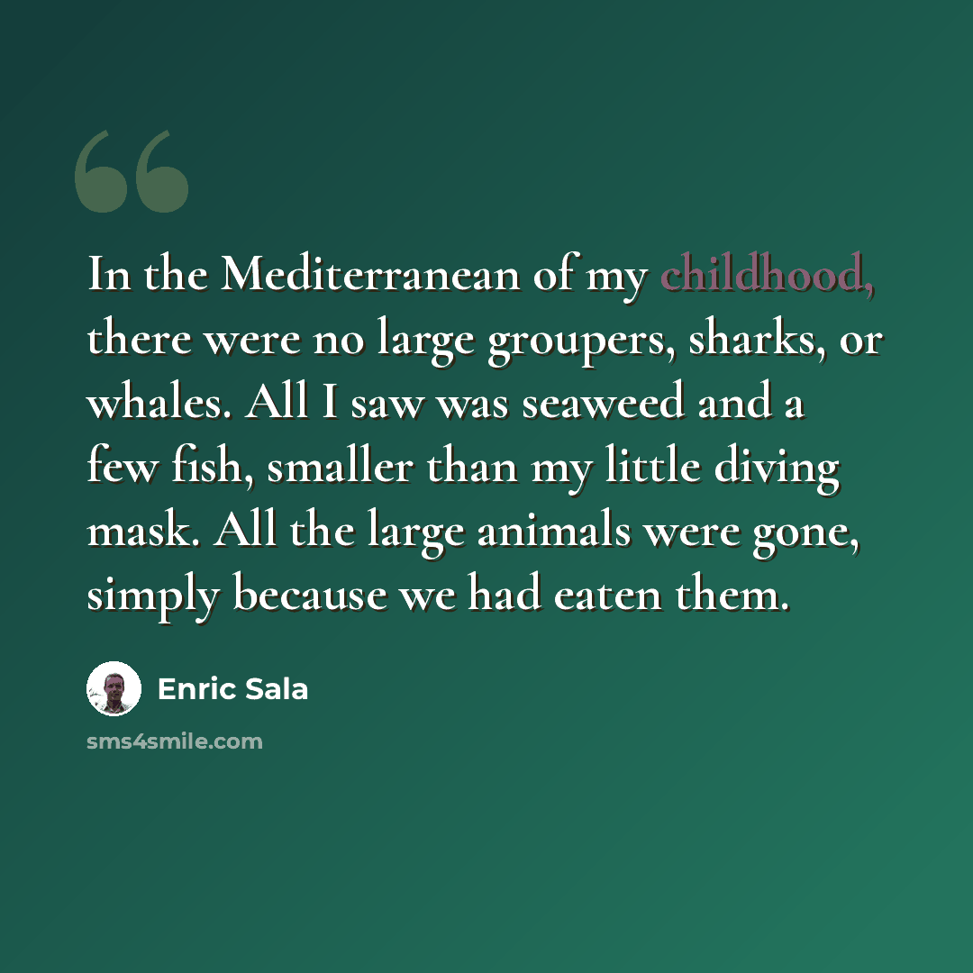 “In the Mediterranean of my childhood, there were no large groupers, sharks, or whales. All I saw was seaweed and a few fish, smaller than my little diving mask. All the large animals were gone, simply because we had eaten them.” quote by Enric Sala