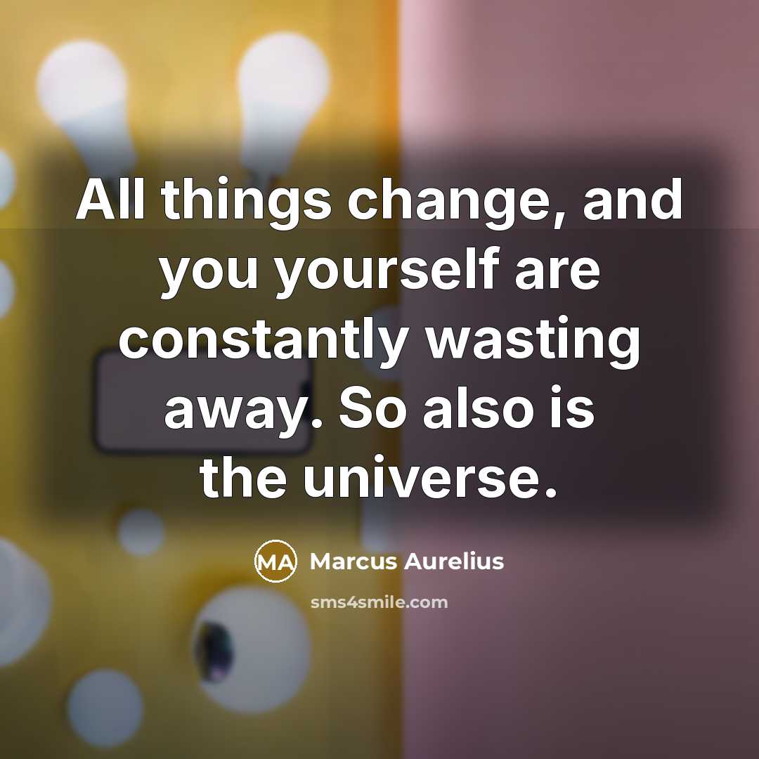 “All things change, and you yourself are constantly wasting away. So also is the universe.” quote by Marcus Aurelius